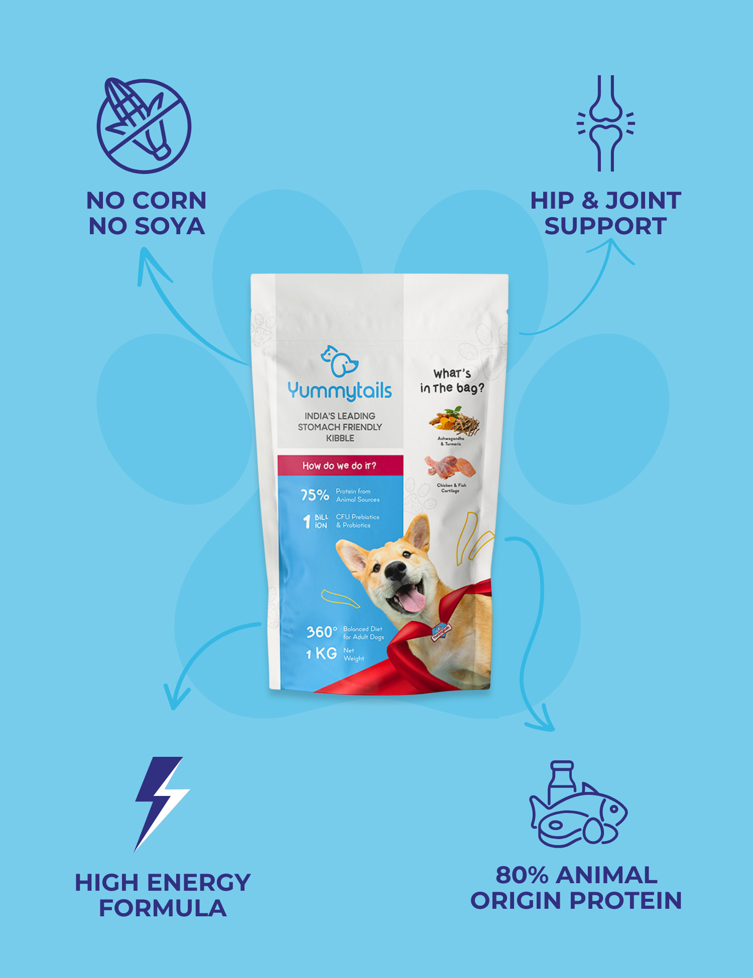 adult dry dog food