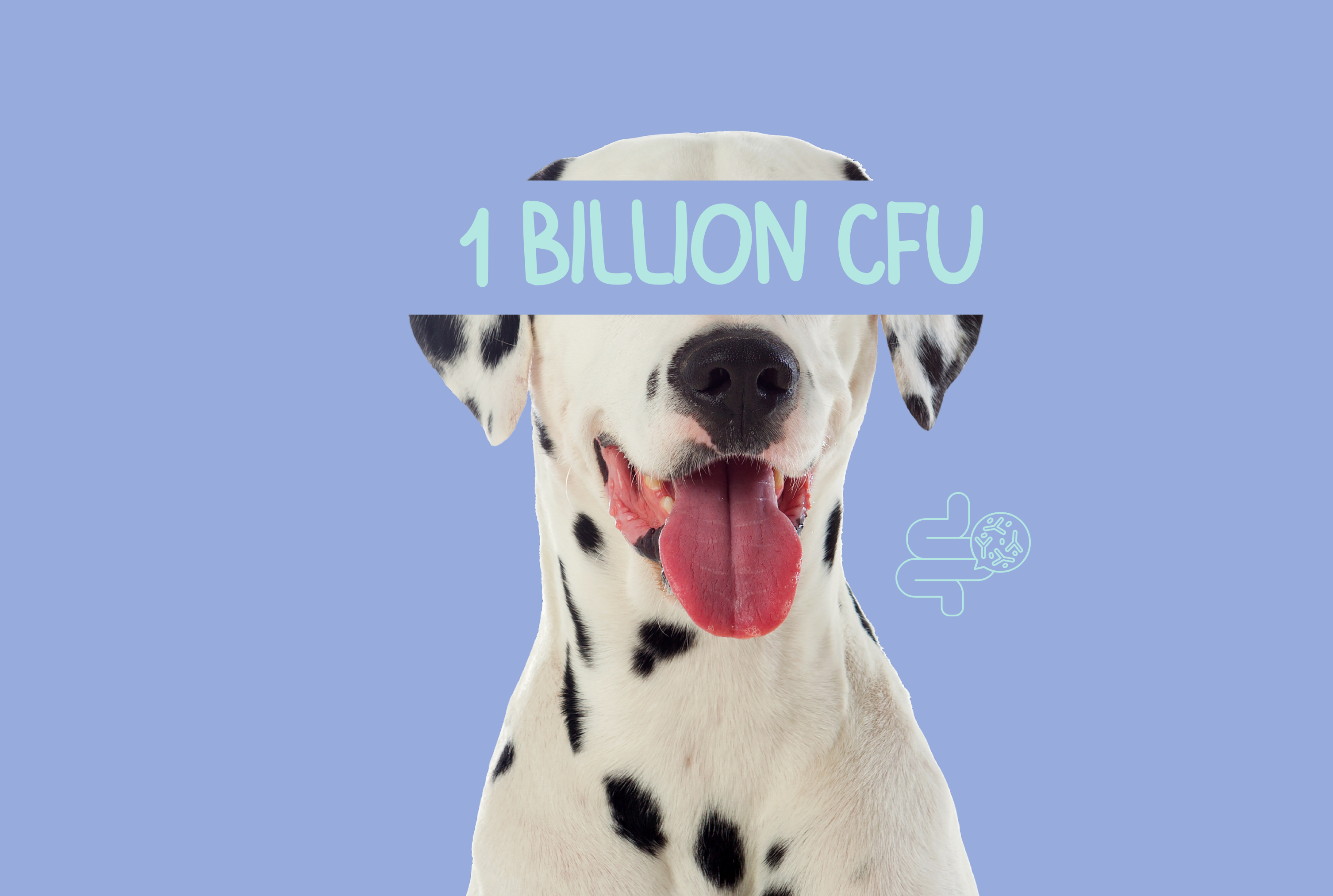 mother and puppy dog food