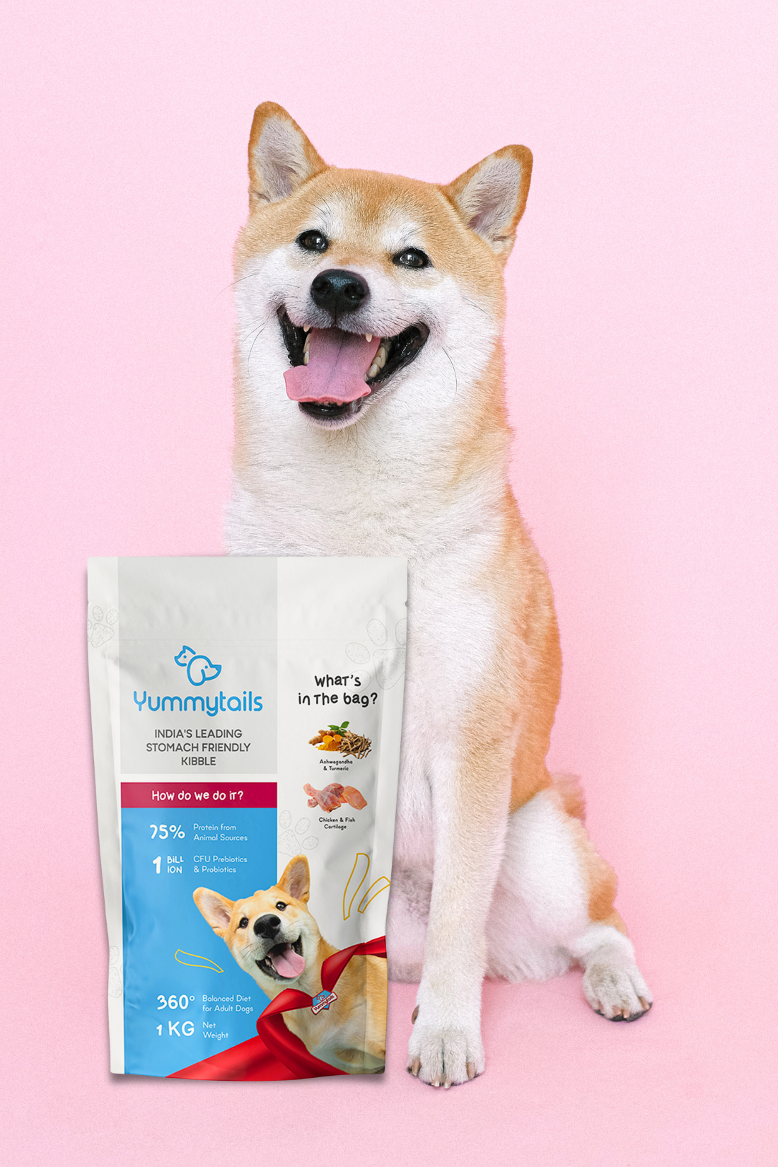 Grain Free Dog Food