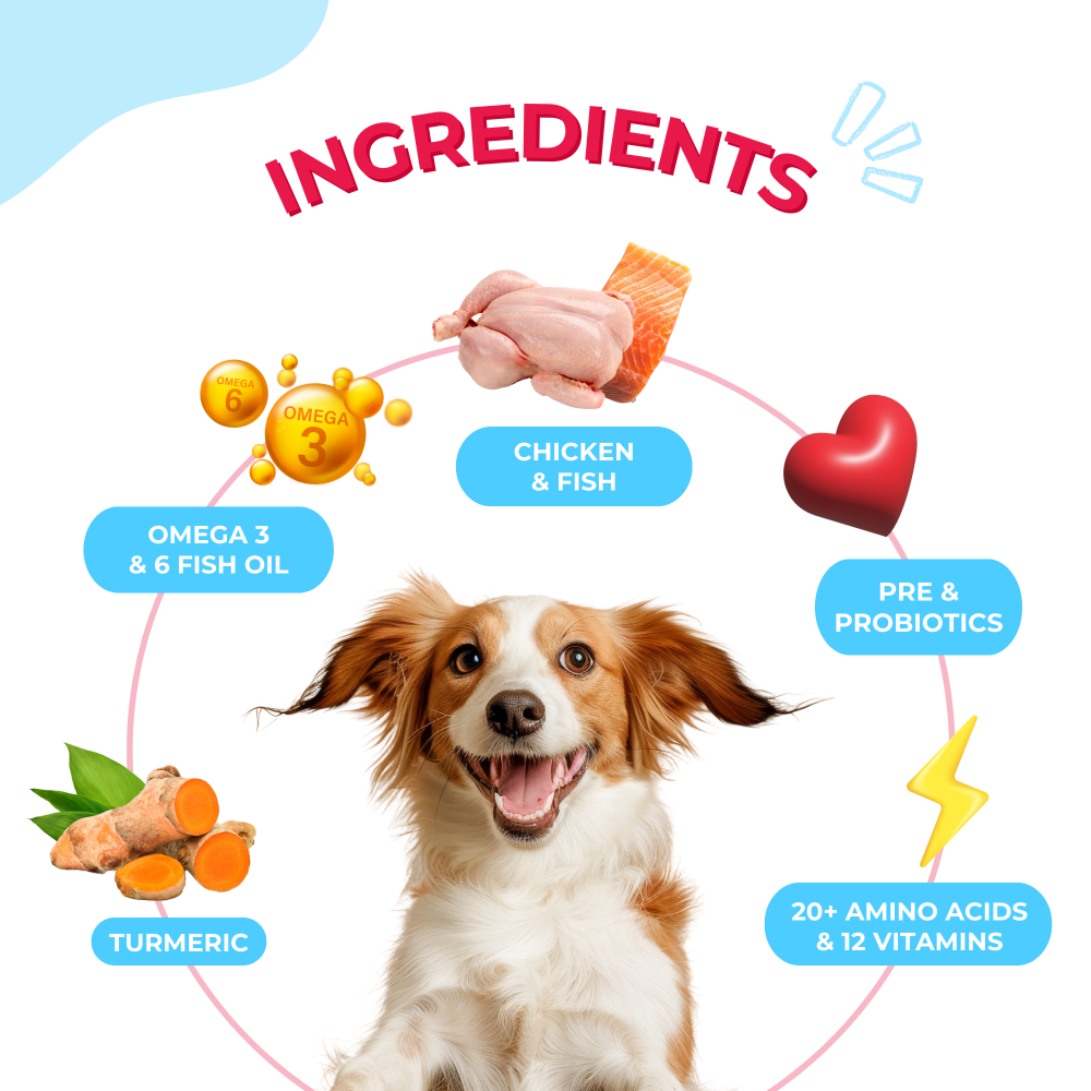 best dog food for nursing mothers