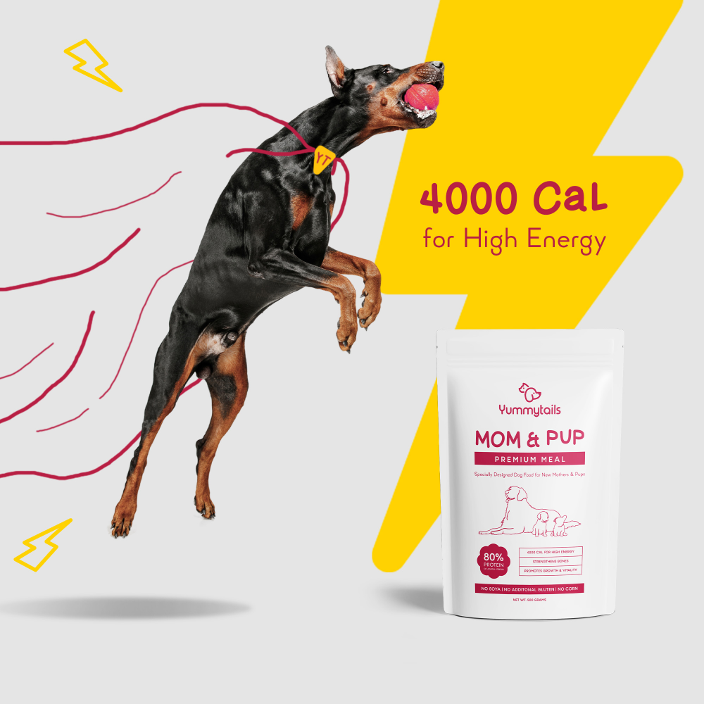 Yummytails Mother and Puppy Dog Food Kibble