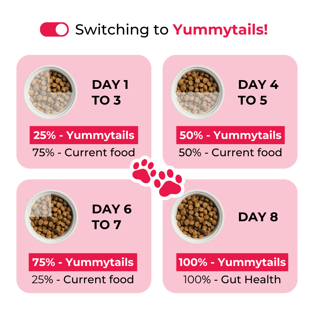 Adult dog food Kibble