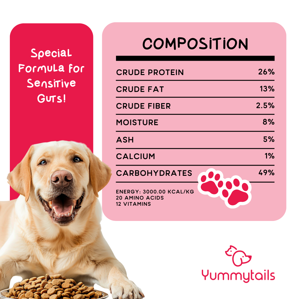 adult dry dog food and kibble