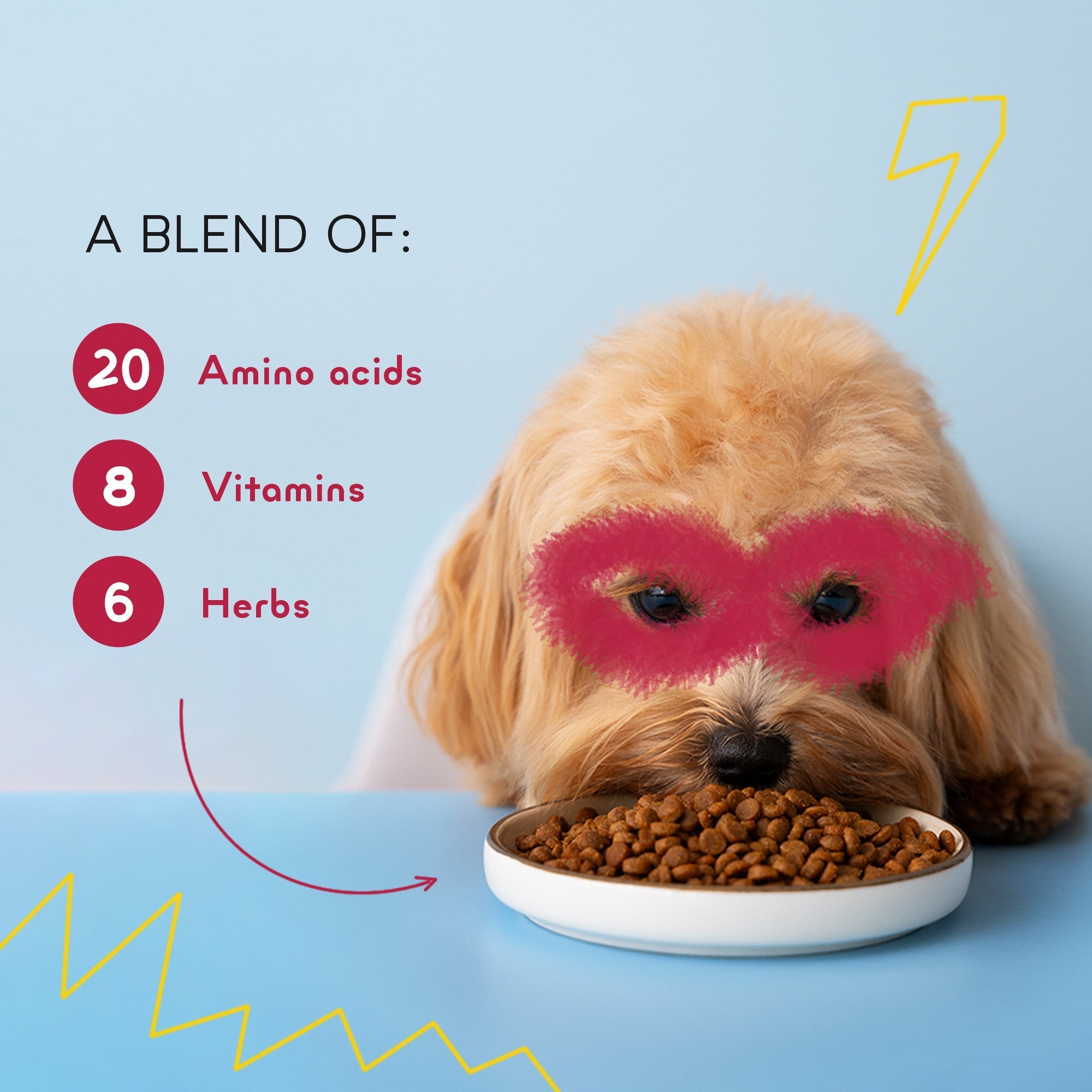 best kibble dog food for adult dogs