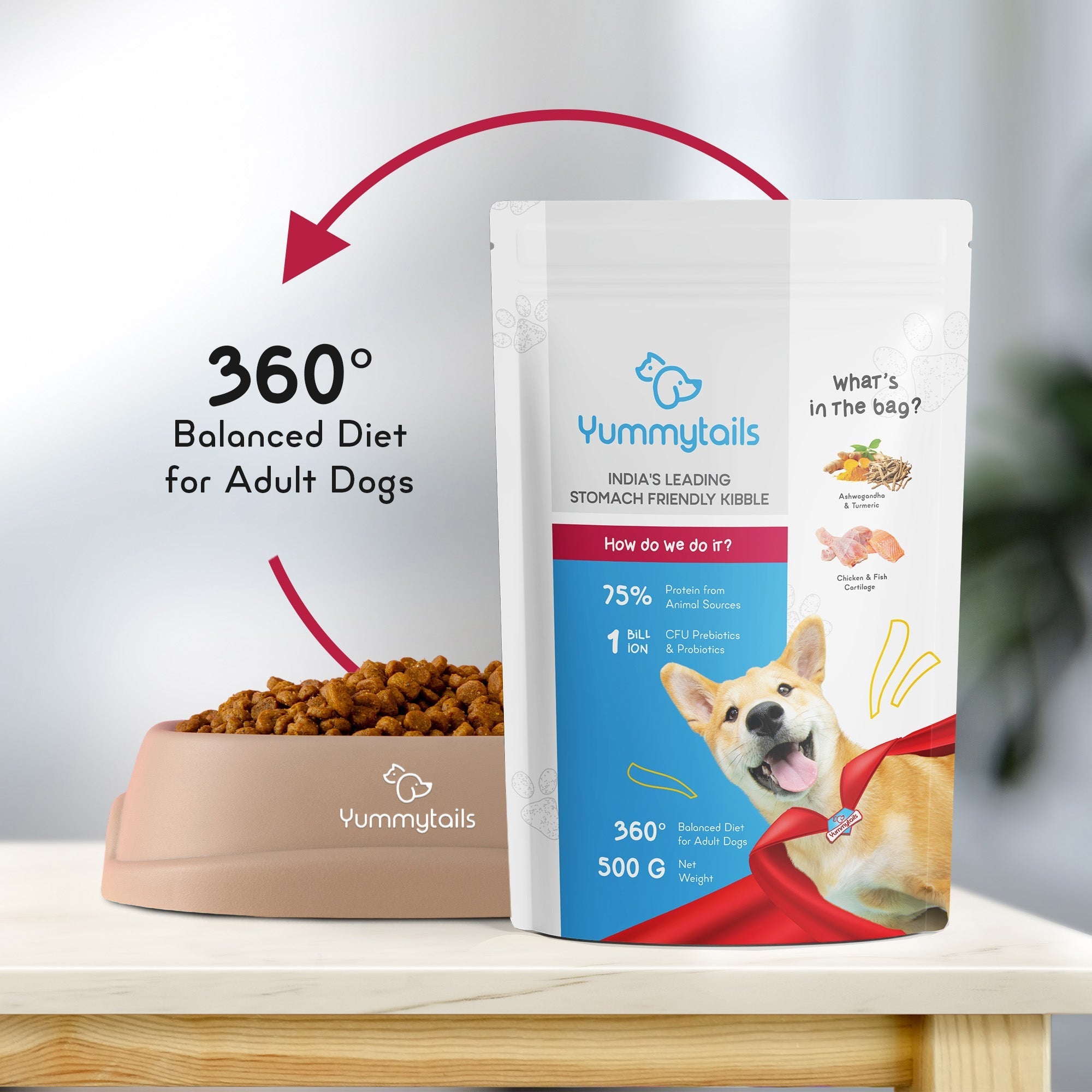food for adult dogs