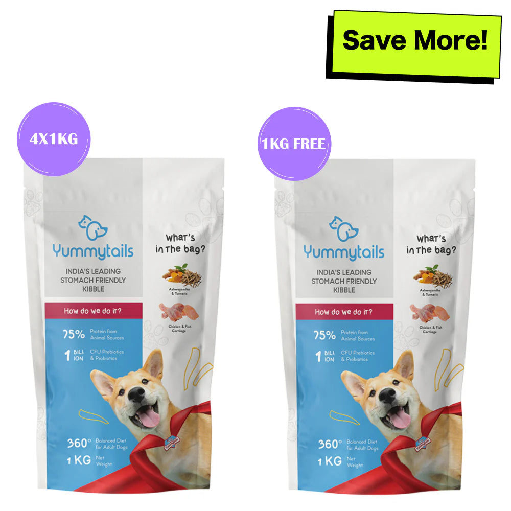best kibble for adult dogs