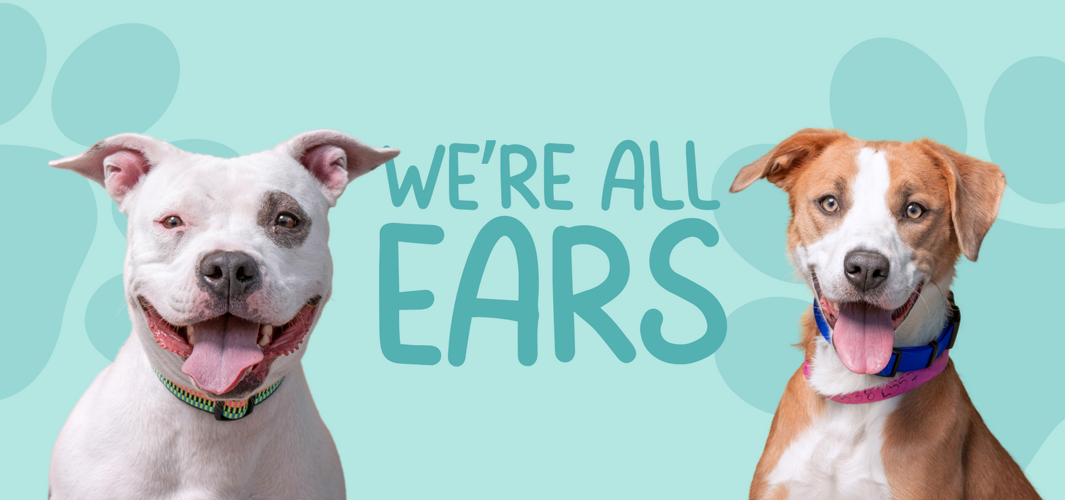 yummytails contact us