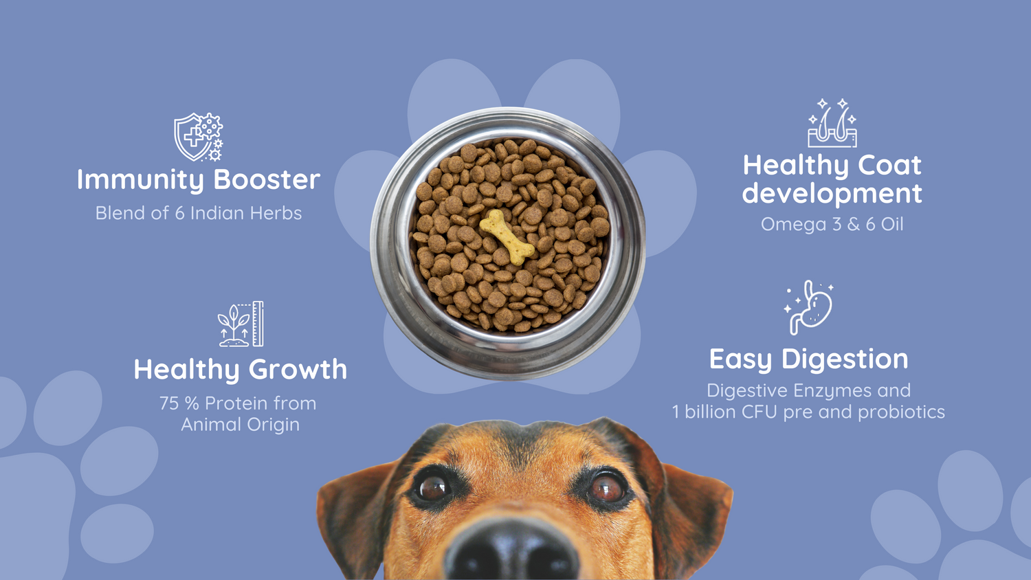 High protein dog food