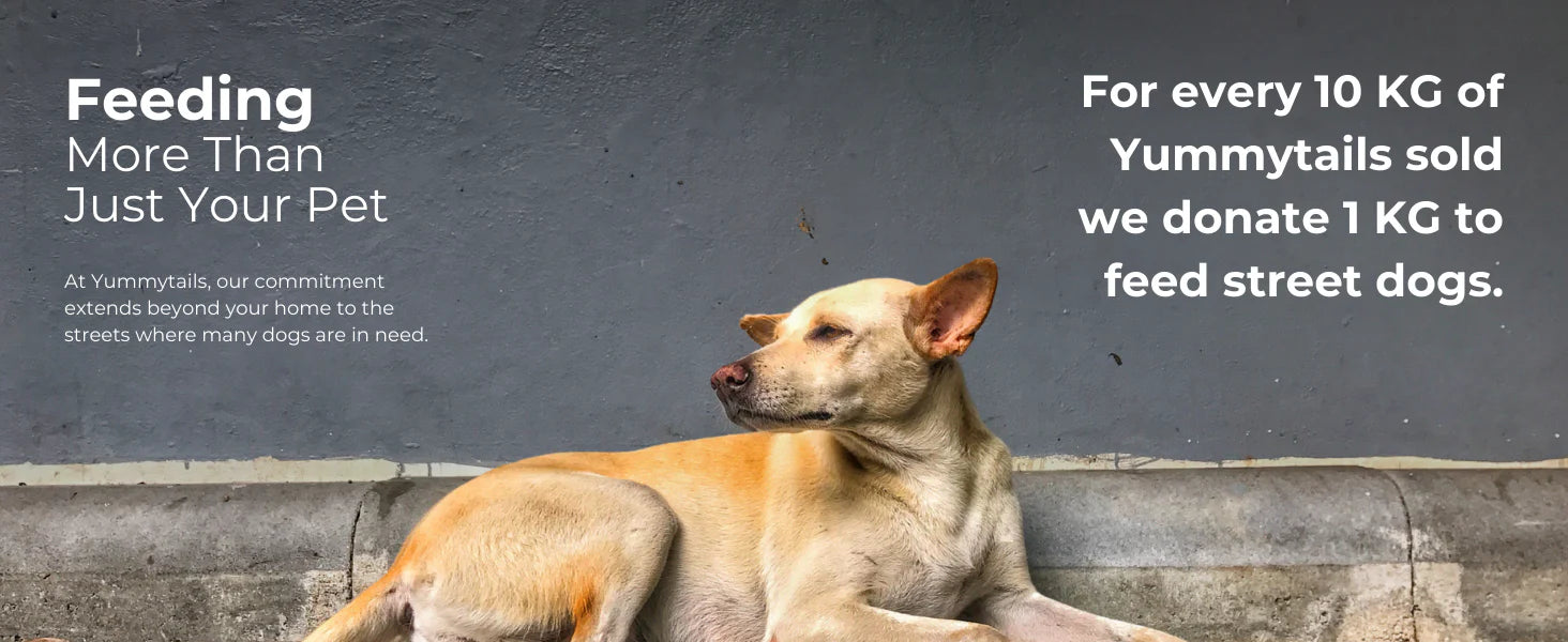 puppy and mother dog kibble