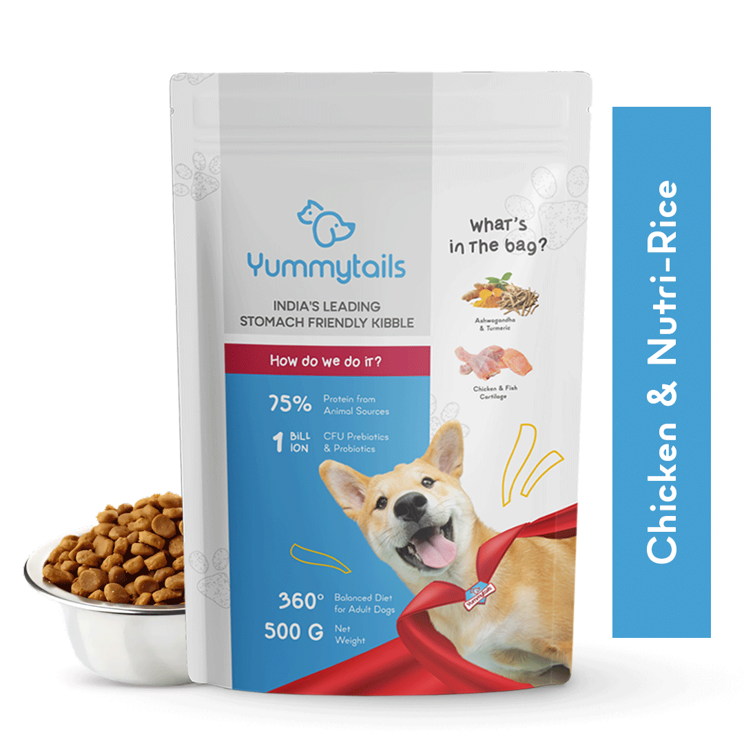 yummy tails adult dog food kibble