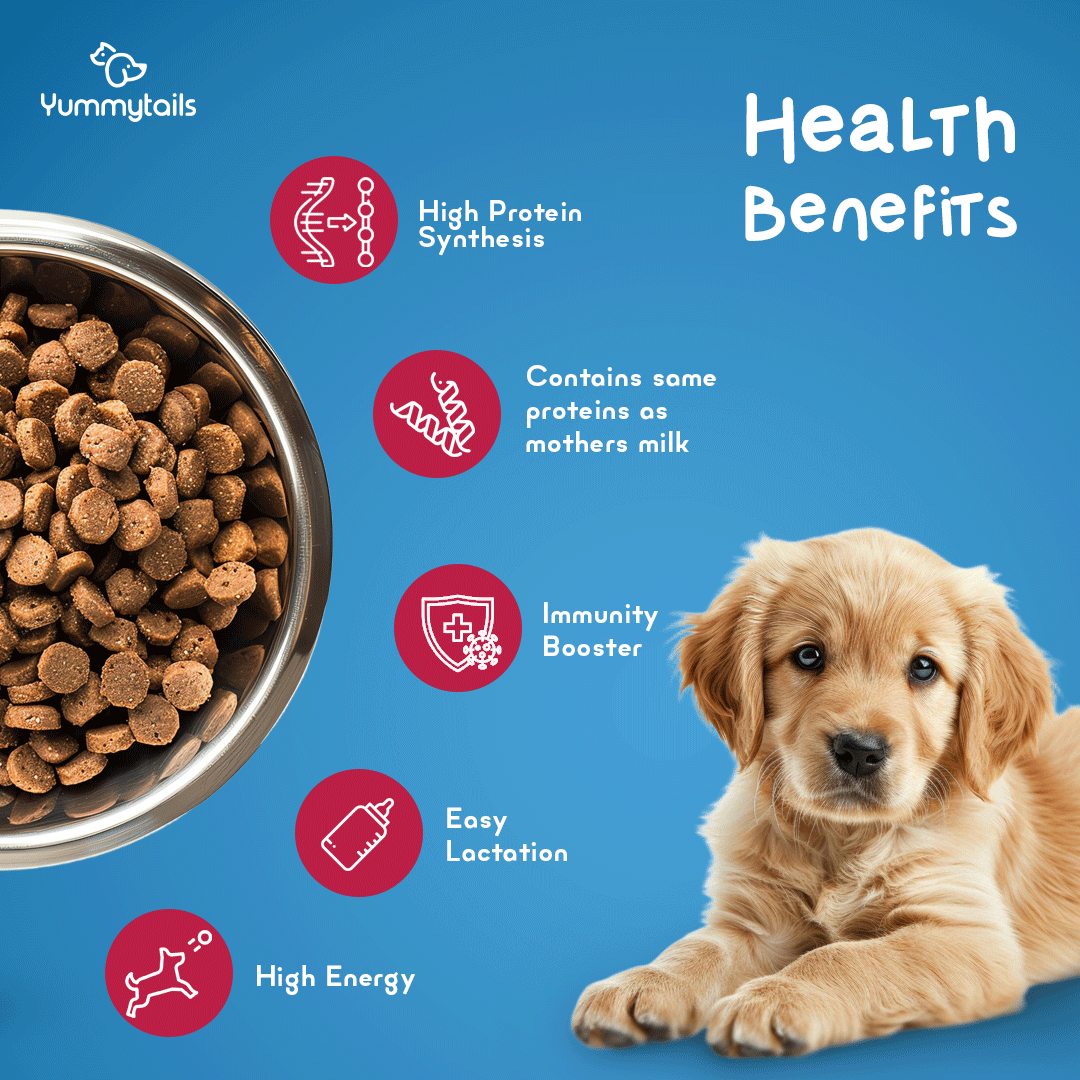 puppy starter food