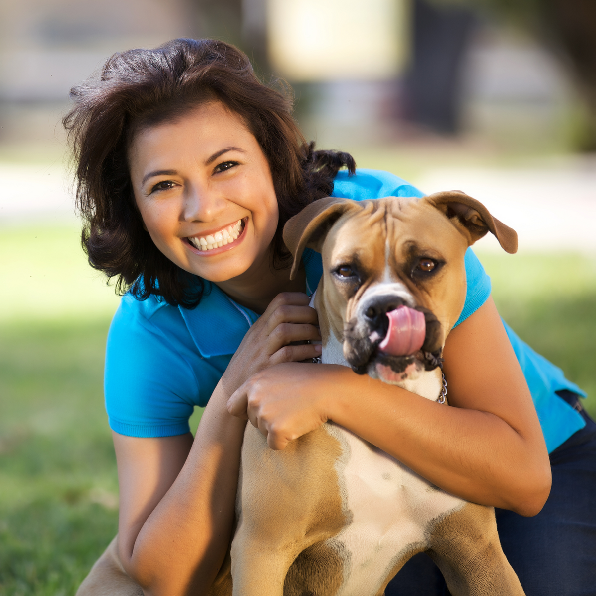 best dog food for adult dogs